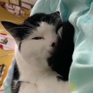 Meet your Posher, Kristen